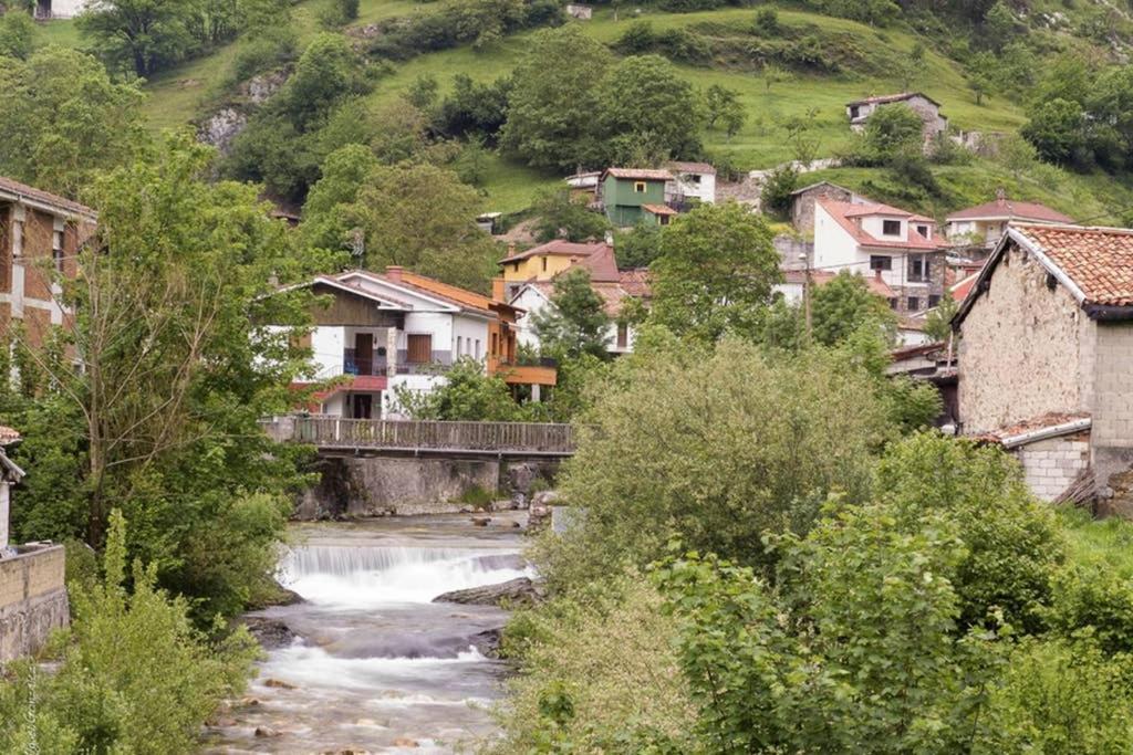Los Molinos - Atico en Montaña de Asturias Felechosa Exterior foto