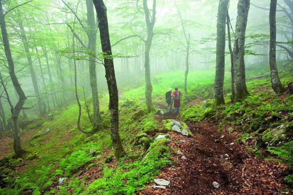 Los Molinos - Atico en Montaña de Asturias Felechosa Exterior foto
