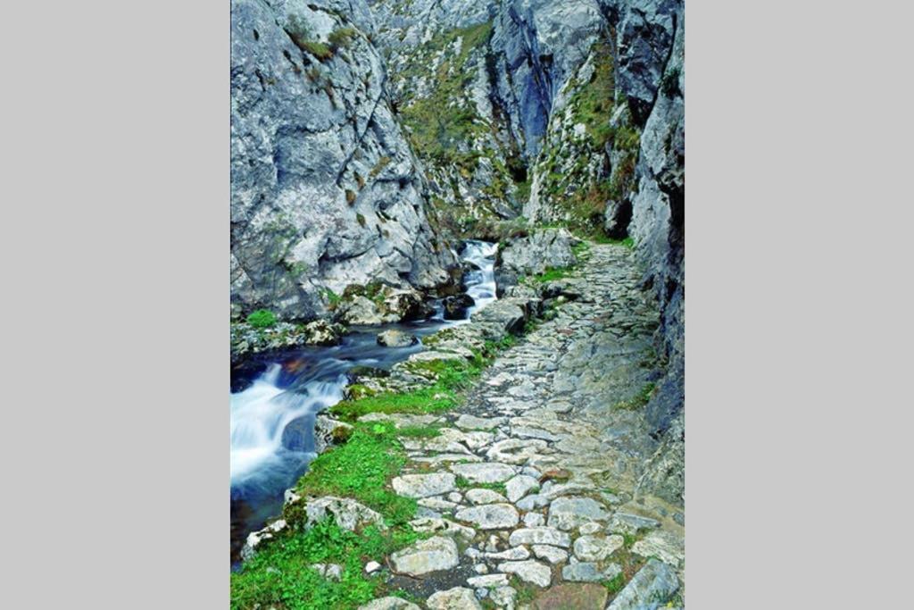 Los Molinos - Atico en Montaña de Asturias Felechosa Exterior foto