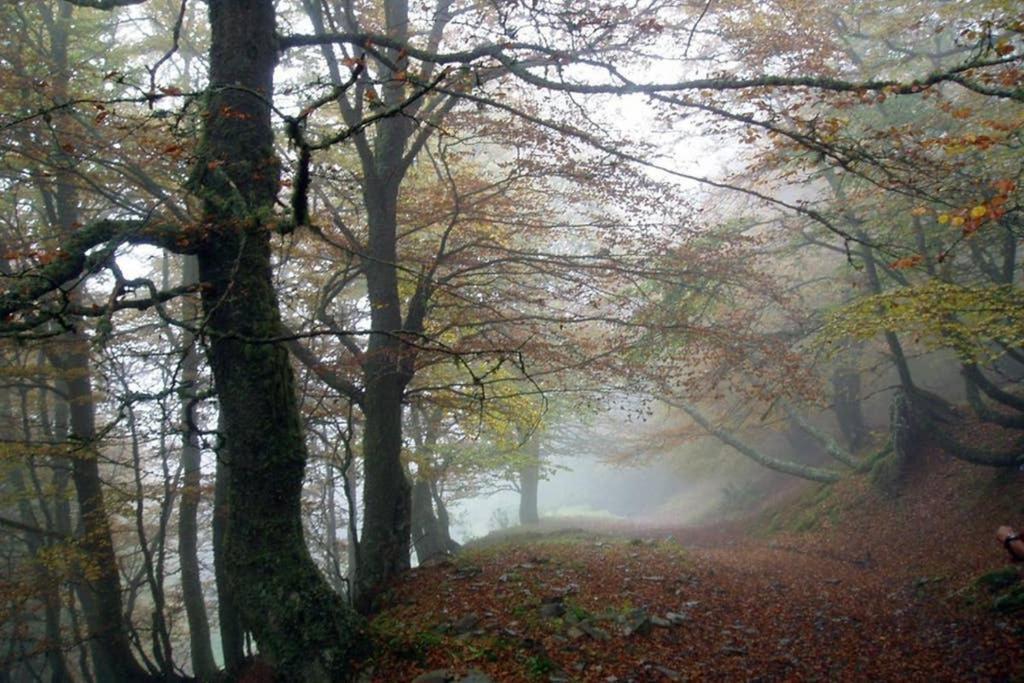 Los Molinos - Atico en Montaña de Asturias Felechosa Exterior foto