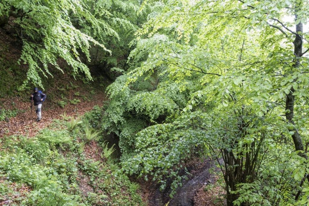 Los Molinos - Atico en Montaña de Asturias Felechosa Exterior foto